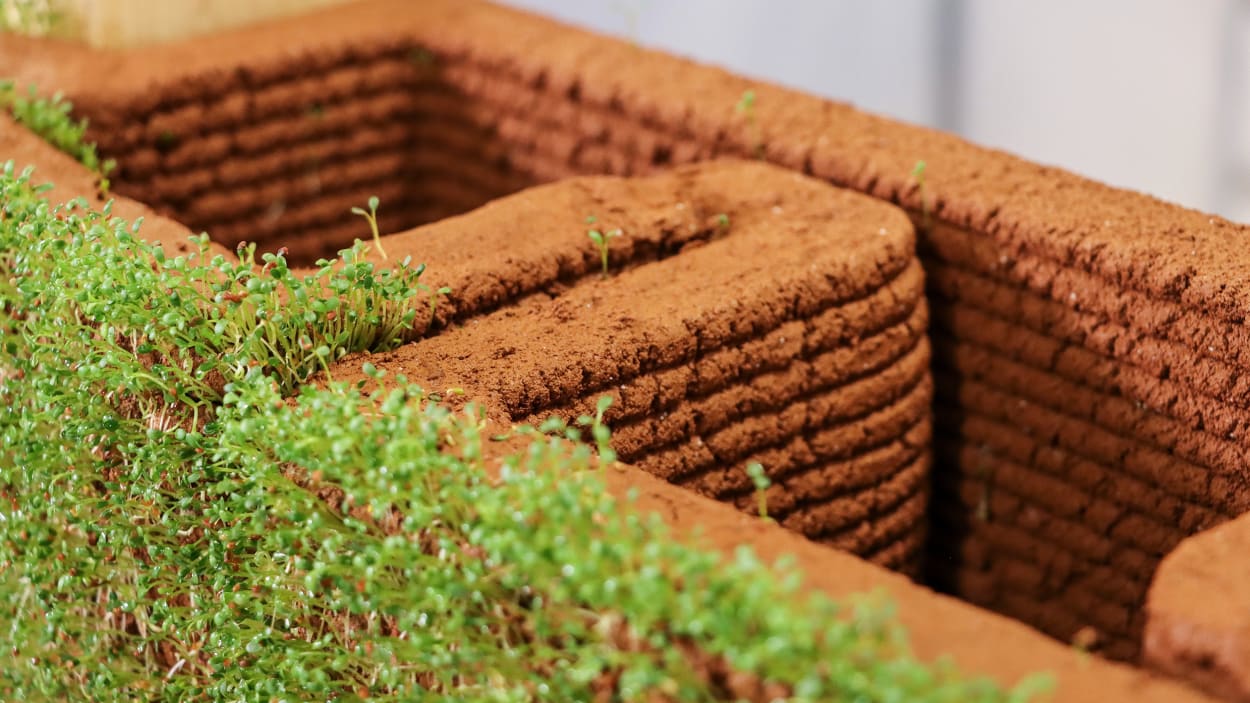 ‘Bioconstruction’ Will Build Homes Out of Flowering, 3D-Printed Dirt