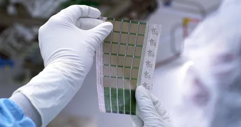 MIT’s Superthin Solar Cells Convert Any Surface Into a Power Source