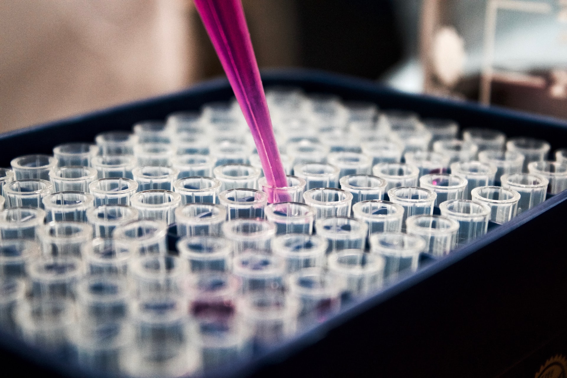 Why is Science Slowing Down?