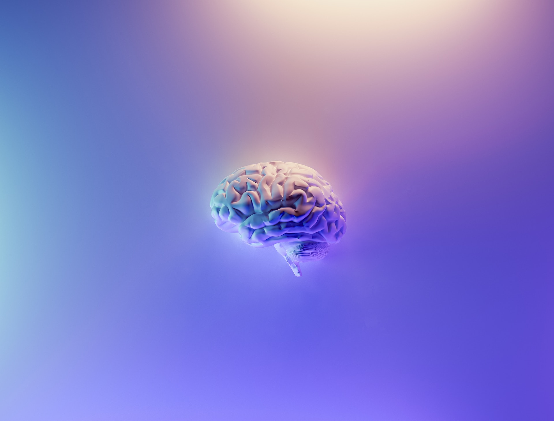 Decades-Long Bet on Consciousness Ends